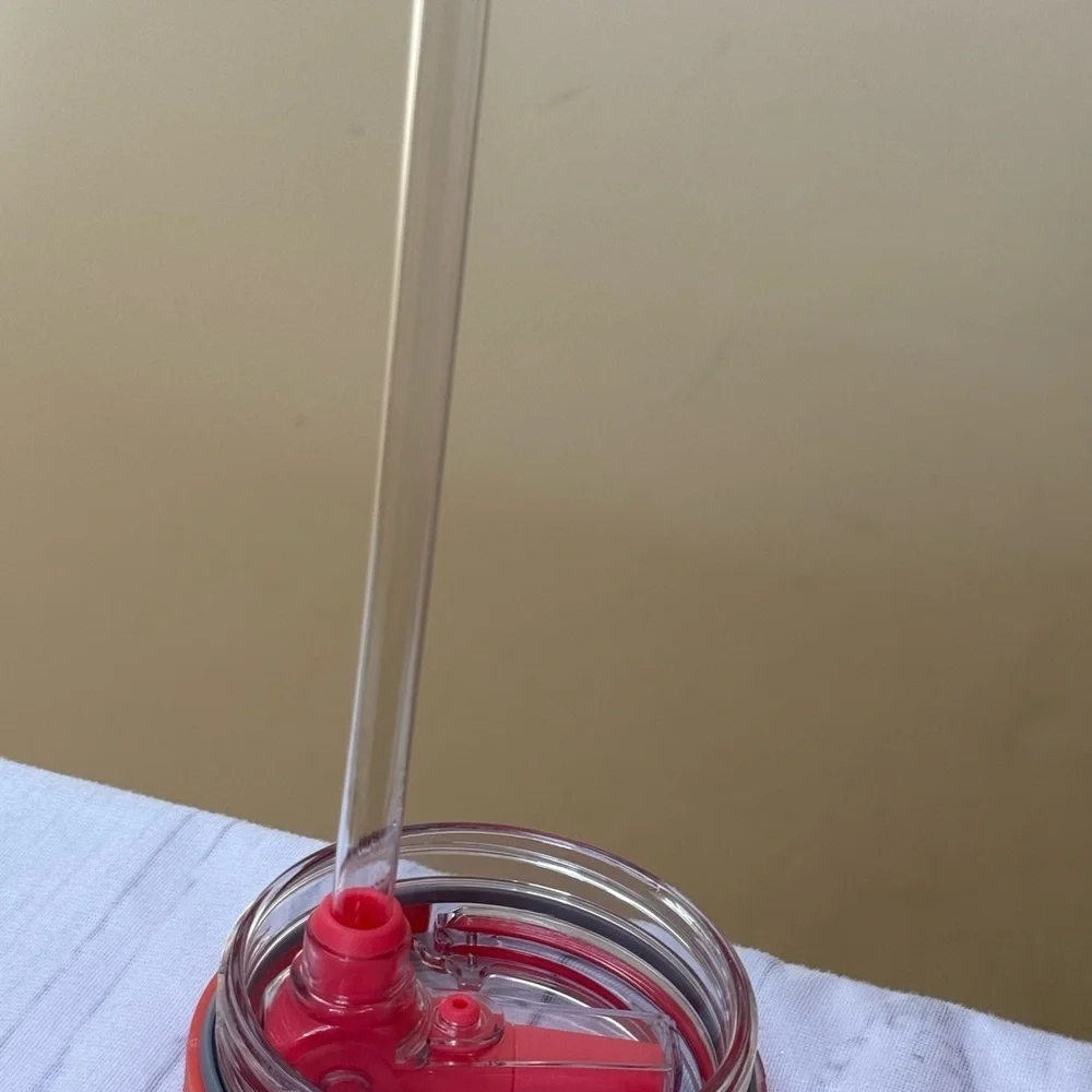 Abikoff Coral Reusable Tumbler with Handle and Straw